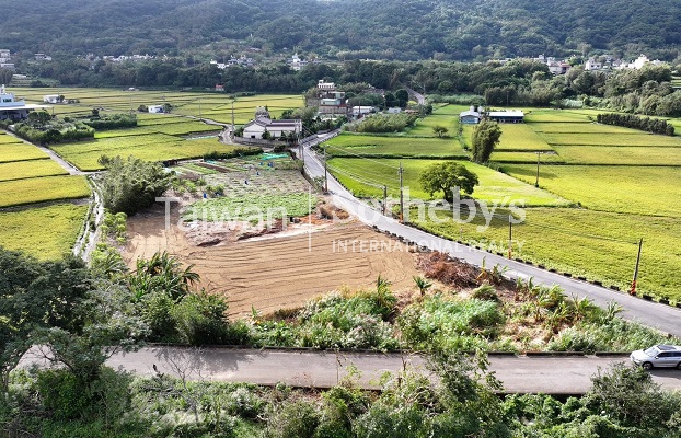 新埔黃金稻田超美農地1989坪現場實景